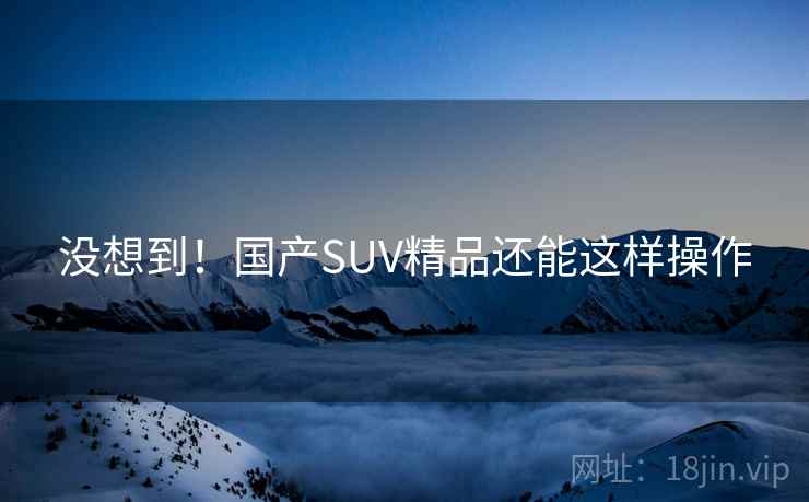 没想到!国产SUV精品还能这样操作